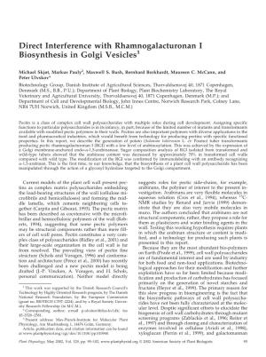 Direct Interference with Rhamnogalacturonan I Biosynthesis in Golgi Vesicles1