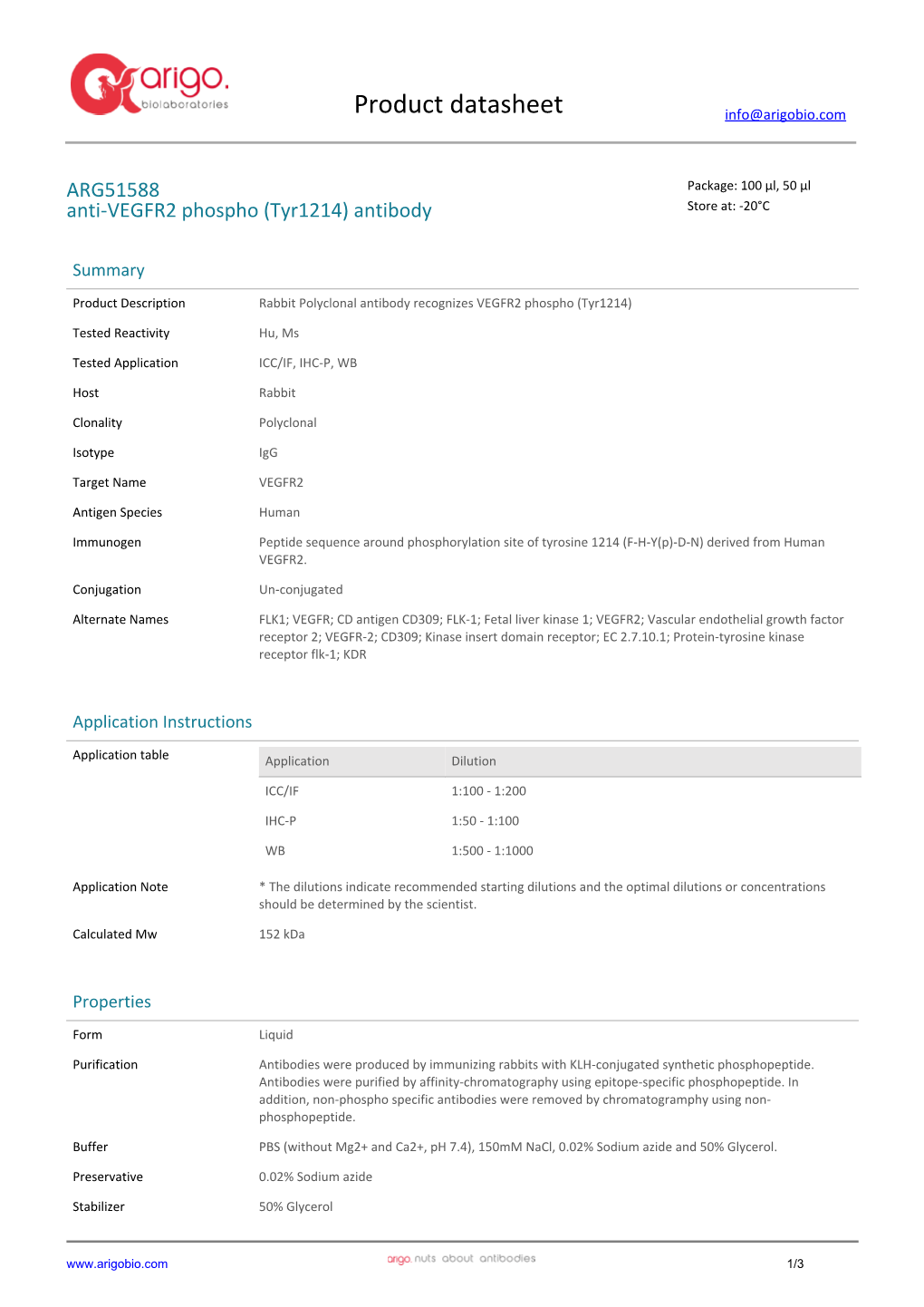 Anti-VEGFR2 Phospho (Tyr1214) Antibody (ARG51588)