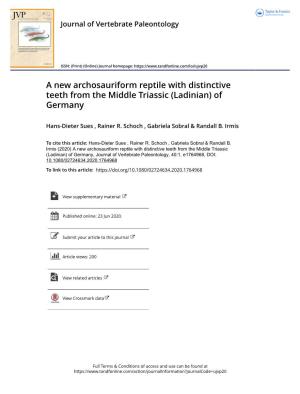 A New Archosauriform Reptile with Distinctive Teeth from the Middle Triassic (Ladinian) of Germany