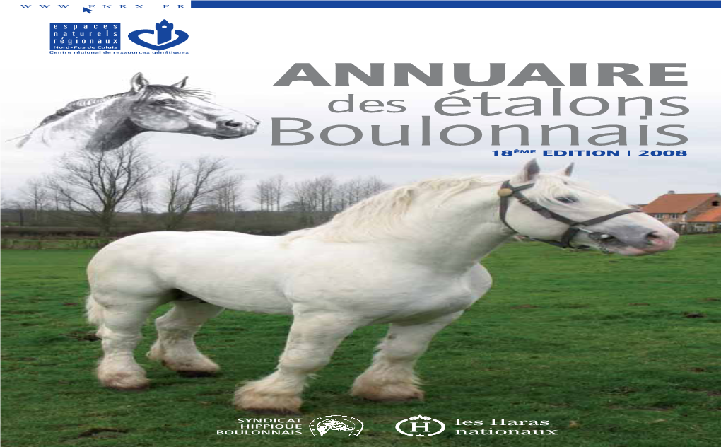 Boulonnaisème 18 EDITION I 2008