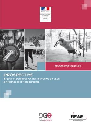 Enjeux Et Perspectives Des Industries Du Sport En France