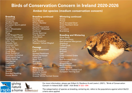 Birds of Conservation Concern in Ireland 2020-2026 Amber-List Species (Medium Conservation Concern)
