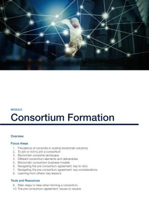 Consortium Formation