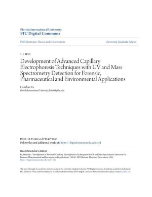 Development of Advanced Capillary Electrophoresis Techniques With