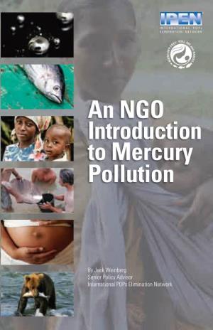 An NGO Introduction to Mercury Pollution