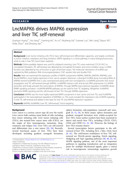 Lncmapk6 Drives MAPK6 Expression and Liver TIC Self-Renewal