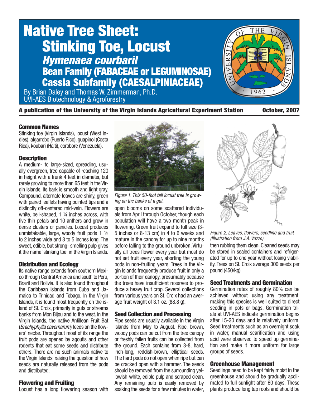 Native Tree Sheet: Stinking Toe, Locust Hymenaea Courbaril Bean Family (FABACEAE Or LEGUMINOSAE) Cassia Subfamily (CAESALPINIACEAE) by Brian Daley and Thomas W