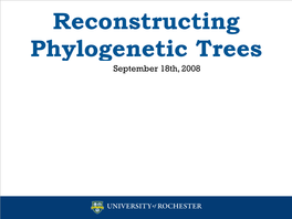 Reconstructing Phylogenetic Trees September 18Th, 2008 Systematic Methods 2 Through Time