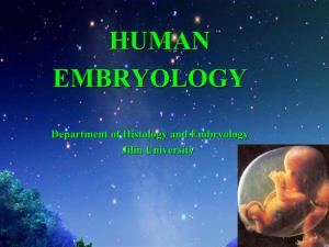 Human Embryologyembryology
