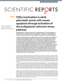 Ptf1a Inactivation in Adult Pancreatic Acinar Cells Causes Apoptosis