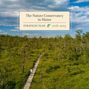 The Nature Conservancy in Maine Strategic Plan 2018–2023 © Ian Patterson Why Maine Matters