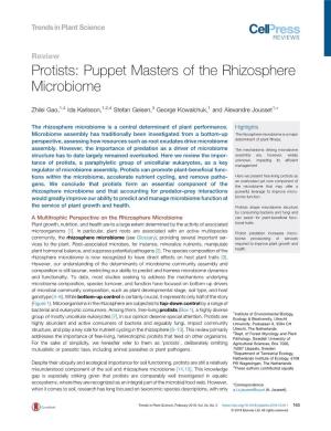 Protists: Puppet Masters of the Rhizosphere Microbiome