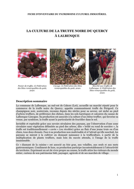 La Culture De La Truffe Noire Du Quercy À Lalbenque.Pdf Pdf 603 Ko