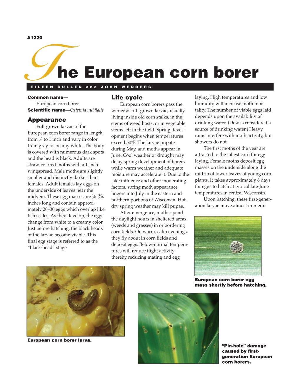 The European Corn Borer EILEEN CULLEN and JOHN WEDBERG