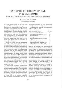 Synopsis of the Ipnopidae (Pisces, Iniomi) with Description of Two New Abyssal Species