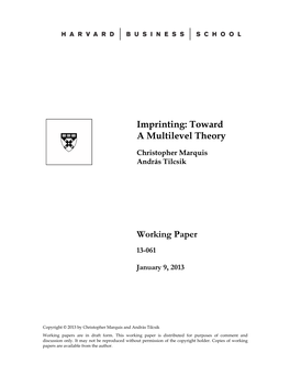 Imprinting: Toward a Multilevel Theory Working Paper