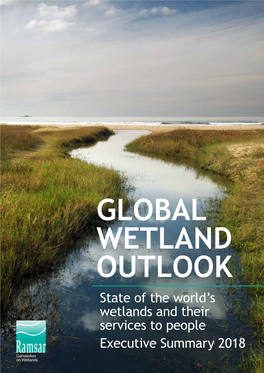Global Wetland Outlook Executive Summary | 2018 INTRODUCTION