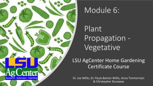 Home Gardening Certificate Course Module 6