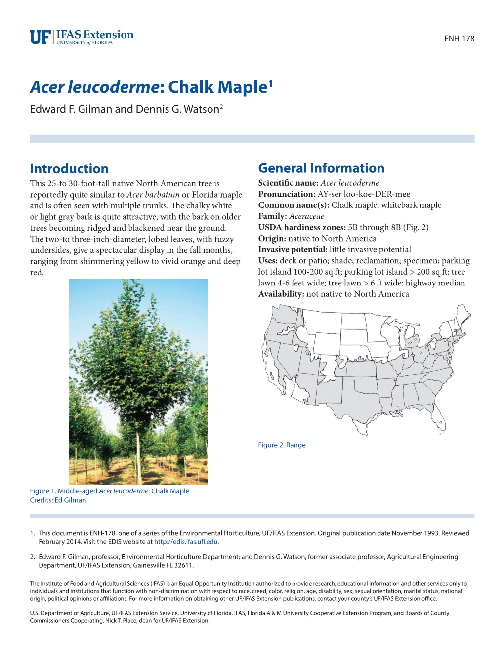 Acer Leucoderme: Chalk Maple1 Edward F