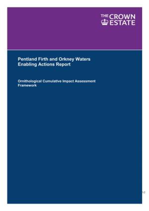 Pentland Firth and Orkney Waters Enabling Actions Report: Ornithological Cumulative Impact Assessment Framework