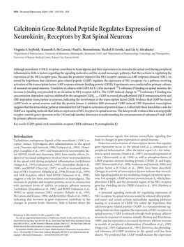 Calcitonin Gene-Related Peptide Regulates Expression of Neurokinin1 Receptors by Rat Spinal Neurons