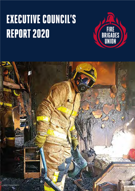 Executive Council's Report 2020