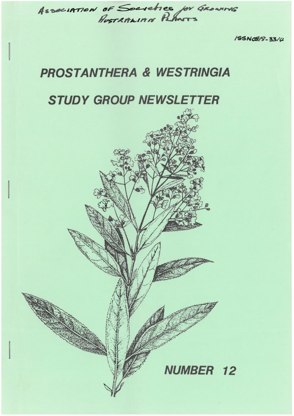 Prostanthera & Westringia