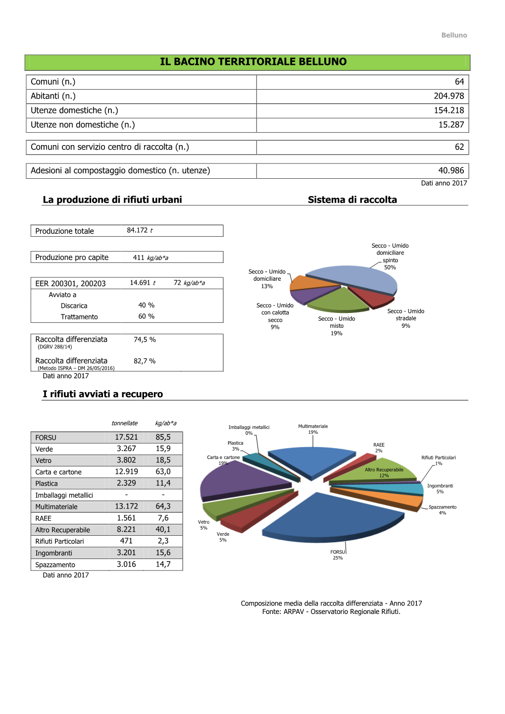 Il Bacino Territoriale Belluno