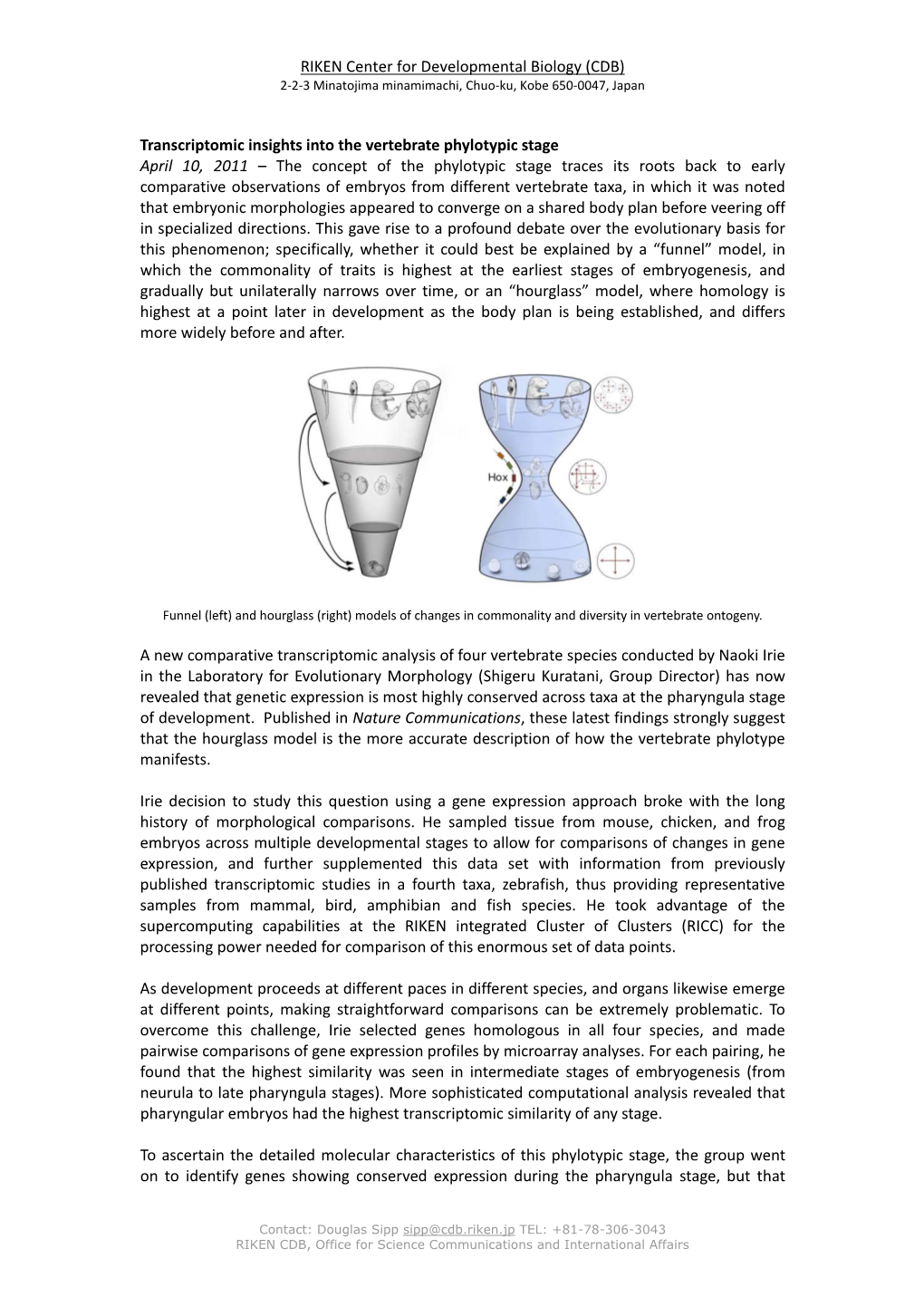 Transcriptomic Insights Into the Vertebrate Phylotypic Stage