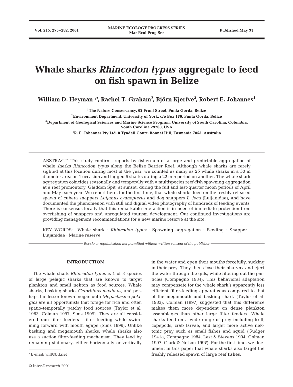 Whale Sharks Rhincodon Typus Aggregate to Feed on Fish Spawn in Belize