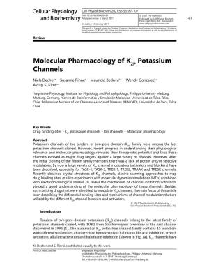 Molecular Pharmacology of K Potassium Channels