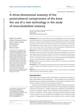 A Three-Dimensional Anatomy of the Posterolateral Compartment of the Knee: the Use of a New Technology in the Study of Musculoskeletal Anatomy