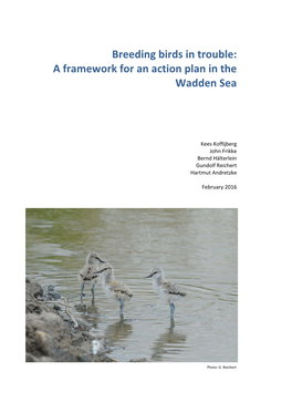 Breeding Birds in Trouble: a Framework for an Action Plan in the Wadden Sea