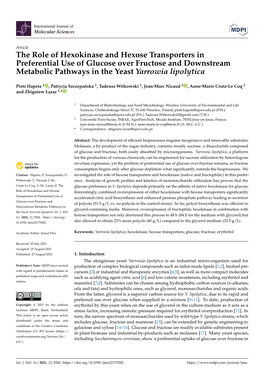 The Role of Hexokinase and Hexose Transporters in Preferential Use of Glucose Over Fructose and Downstream Metabolic Pathways in the Yeast Yarrowia Lipolytica