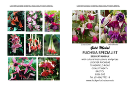 Gold Medal FUCHSIA SPECIALIST 2020 CATALOGUE with Cultural Instructions and Prices LOCKYER FUCHSIAS 70 HENFIELD ROAD COALPIT HEATH BRISTOL BS36 2UZ Tel
