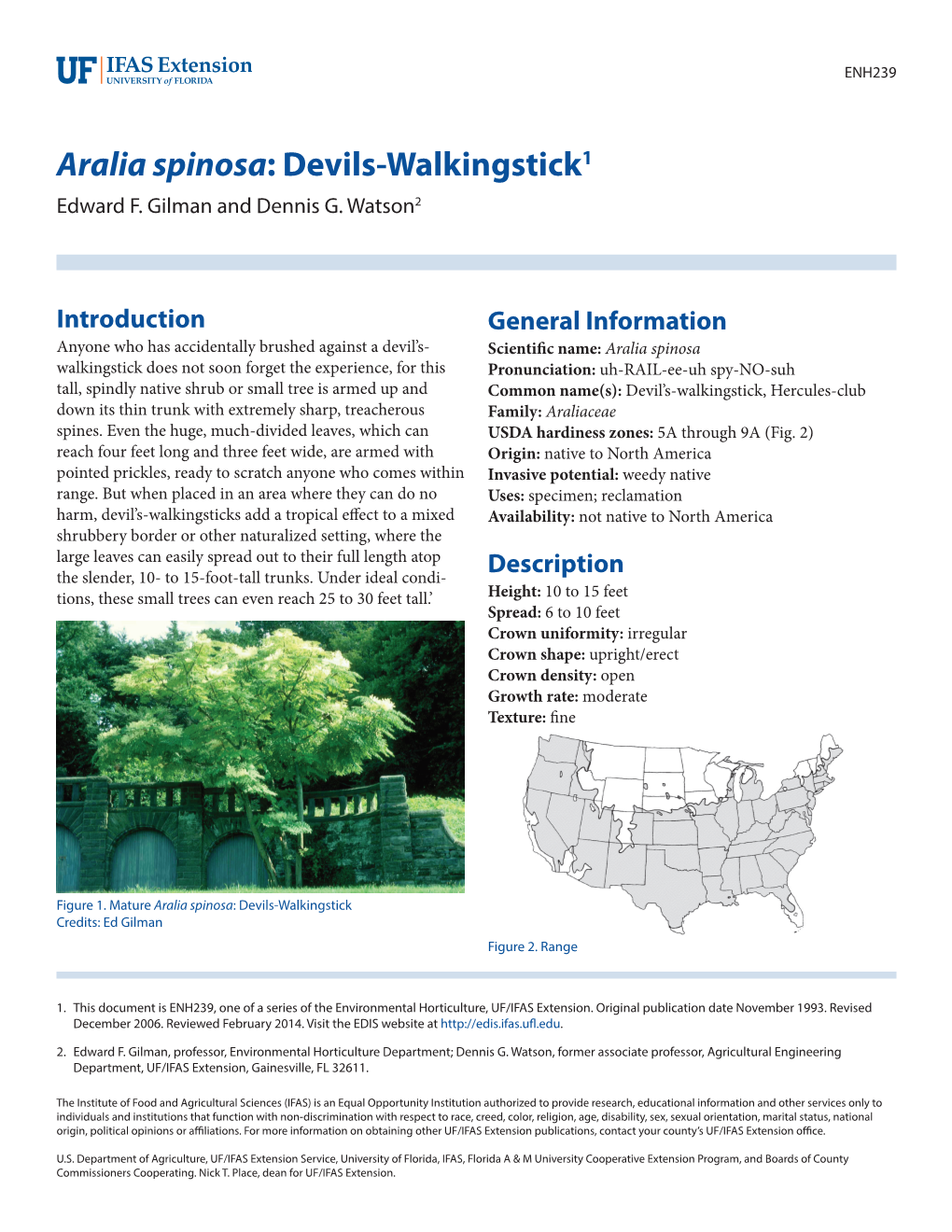 Aralia Spinosa: Devils-Walkingstick1 Edward F