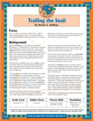 Snail Folio for Pdfing