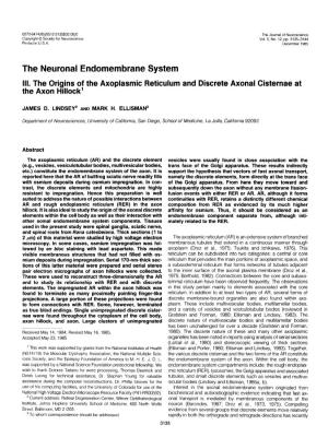 The Neuronal Endomembrane System III