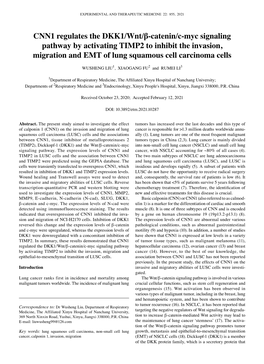CNN1 Regulates the DKK1/Wnt/Β‑Catenin/C‑Myc Signaling Pathway by Activating TIMP2 to Inhibit the Invasion, Migration and EMT of Lung Squamous Cell Carcinoma Cells