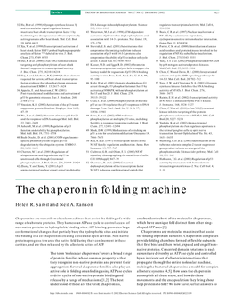 The Chaperonin Folding Machine