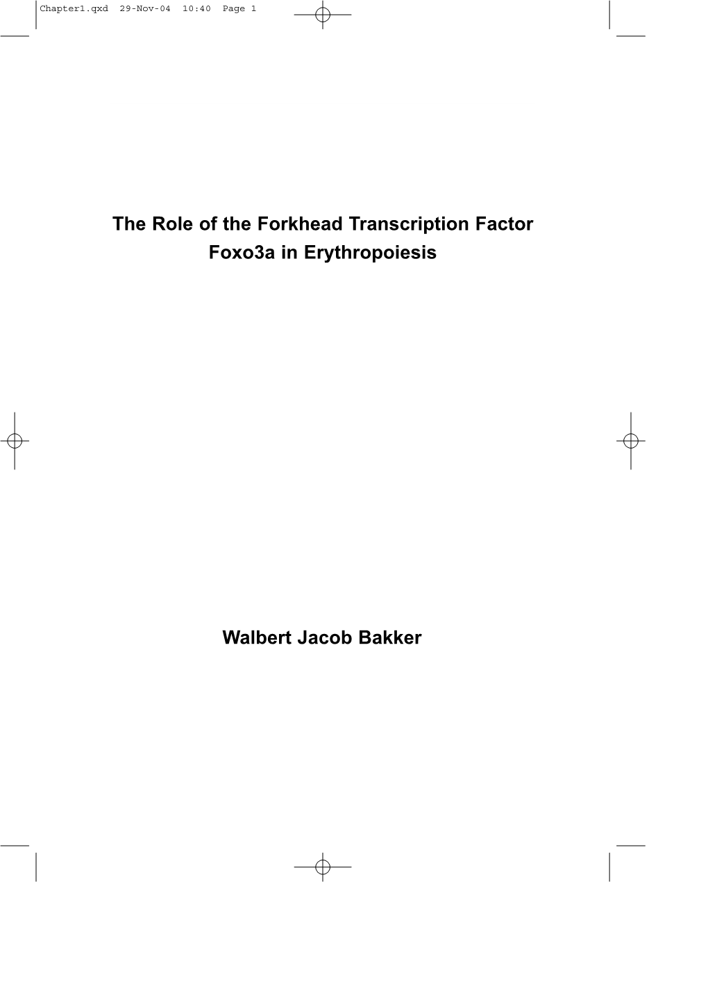 The Role of the Forkhead Transcription Factor Foxo3a in Erythropoiesis