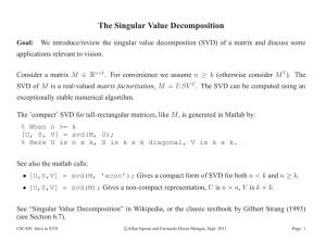 The Singular Value Decomposition