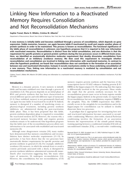 Linking New Information to a Reactivated Memory Requires Consolidation and Not Reconsolidation Mechanisms