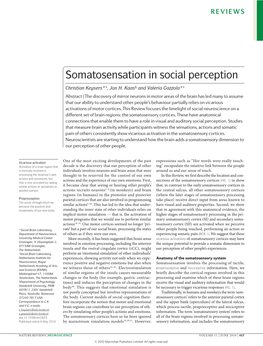 Somatosensation in Social Perception