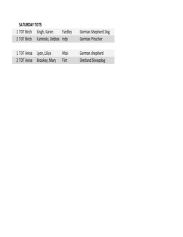 SAT Running Order.Xlsx