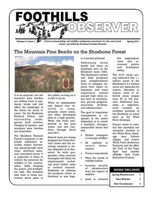 The Mountain Pine Beetle on the Shoshone Forest