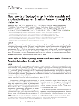 New Records of Leptospiraspp. in Wild Marsupials and a Rodent