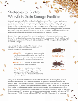 Strategies to Control Weevils in Grain Storage Facilities