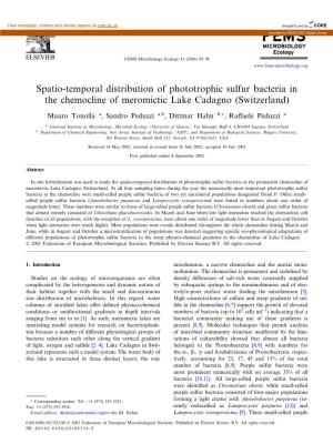 Spatio-Temporal Distribution of Phototrophic Sulfur Bacteria in the Chemocline of Meromictic Lake Cadagno (Switzerland)