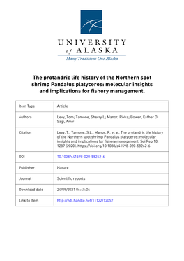 The Protandric Life History of the Northern Spot Shrimp Pandalus Platyceros: Molecular Insights and Implications for Fishery Management